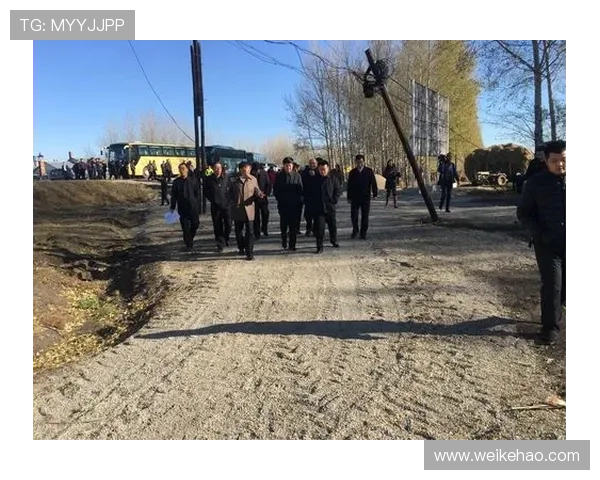 领英官宣海伦阿博阿任帕尔马负责人